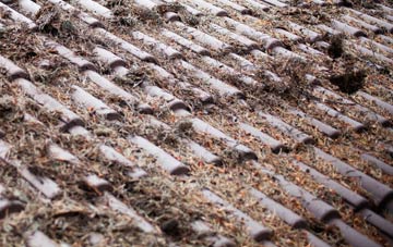 Bradford On Avon roof cleaning companies