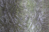 Bradford On Avon fibreglass roof work